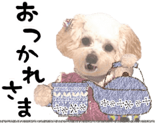 トイプードルるんるムービー５